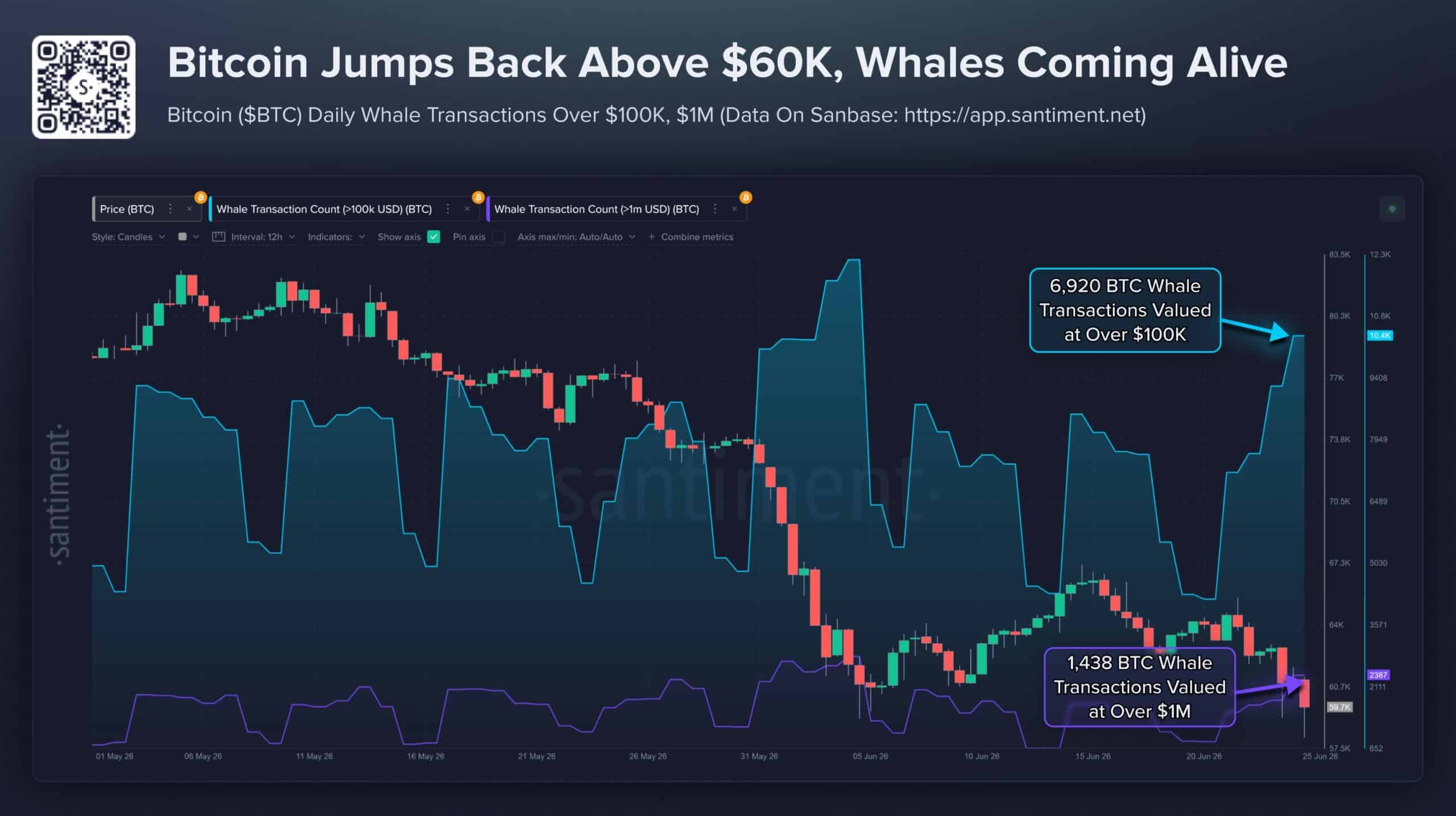 Cá voi BTC có cứu Bitcoin sau 4,06 tỷ USD ETF bị rút? - Tin Tức Bitcoin - Cập Nhật Tin Tức Coin Mới Nhất 24/7 2026