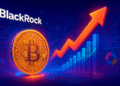 BlackRock: Bitcoin là tài sản đa dạng hóa bổ trợ, nhưng…