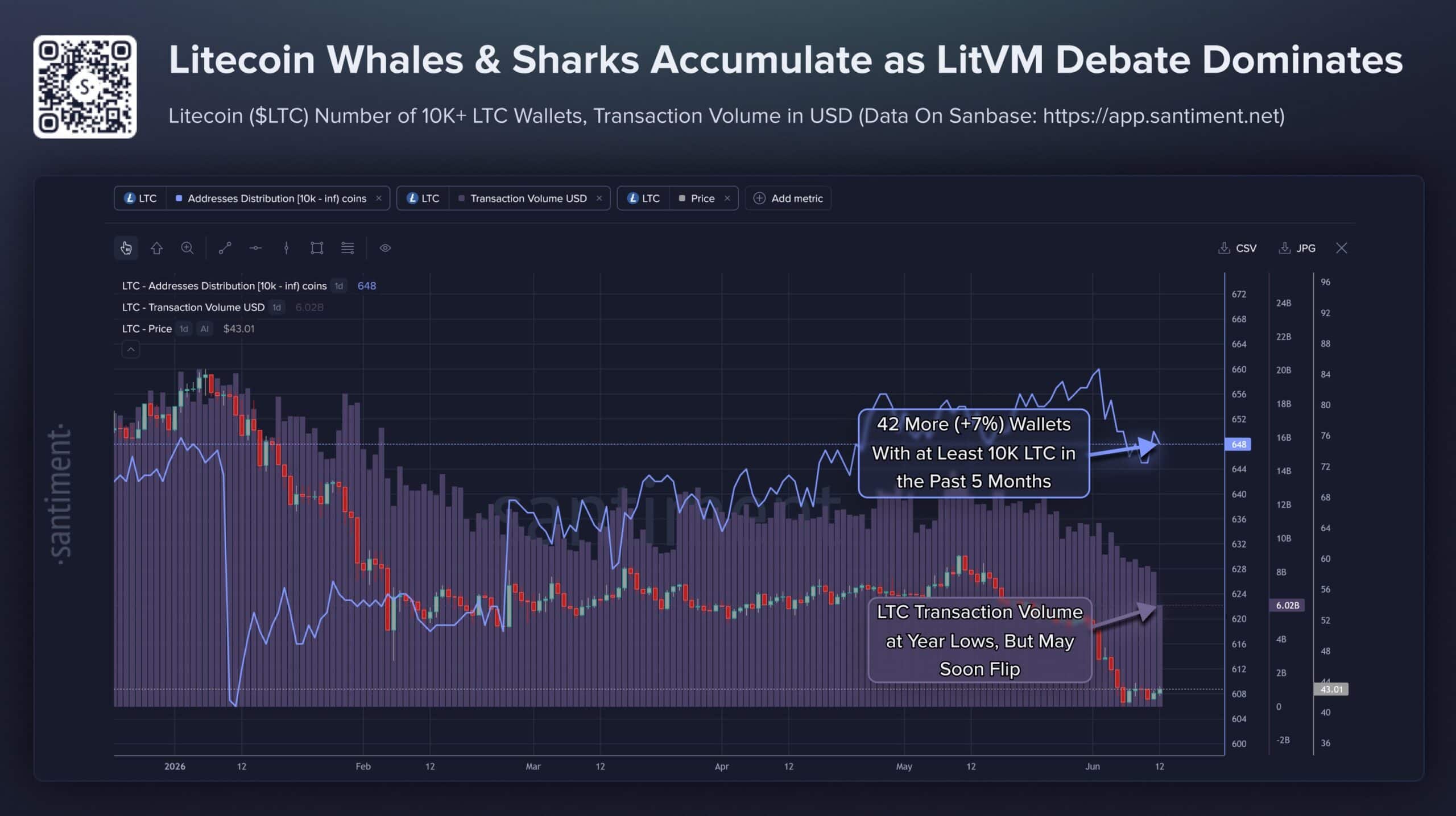 Cá voi Litecoin tăng 7% ví trong 5 tháng, LTC vẫn quanh 44 USD - Tin Tức Bitcoin - Cập Nhật Tin Tức Coin Mới Nhất 24/7 2026 Litecoin whales and sharks