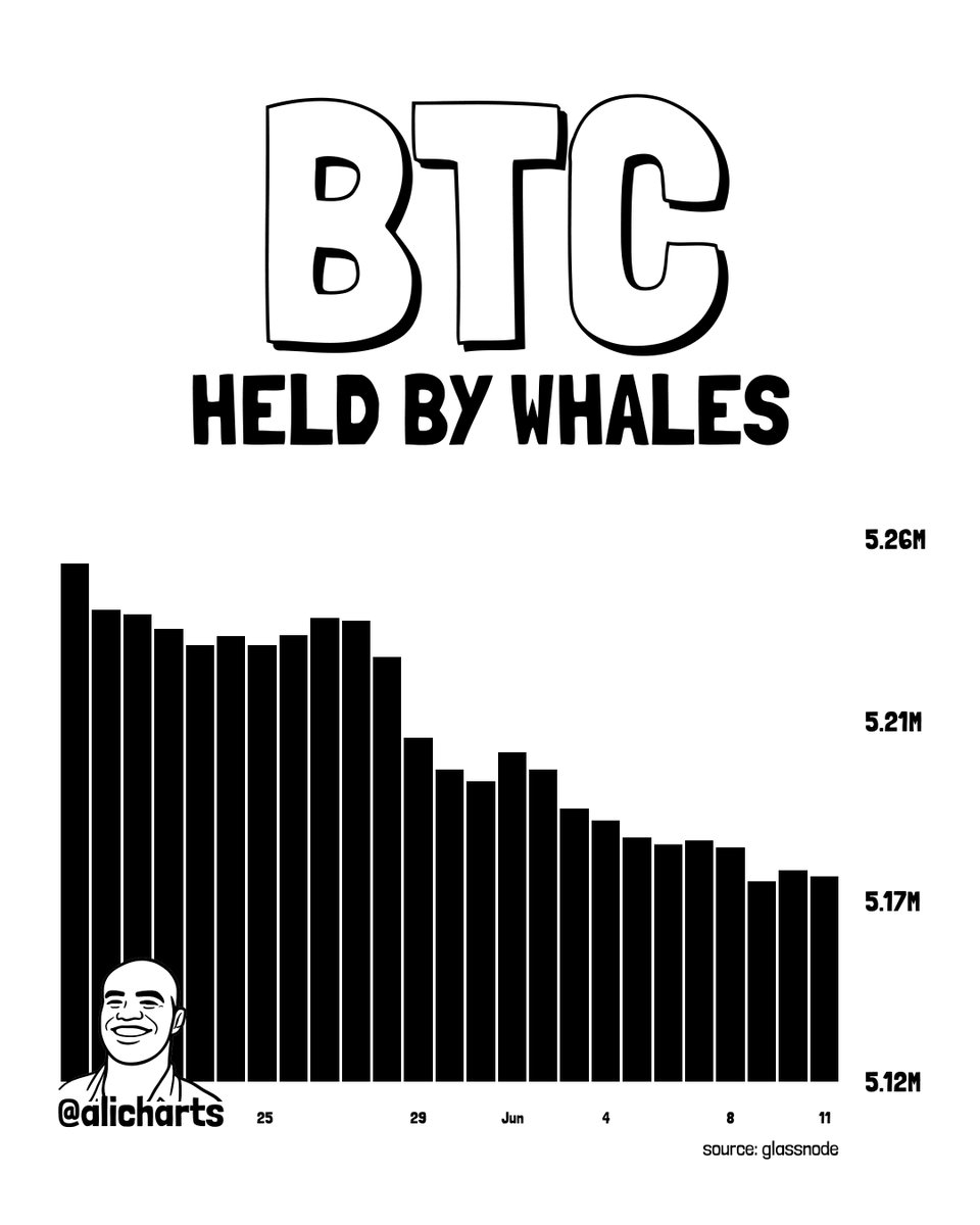 Cá voi bán tháo Bitcoin, Ethereum rút khỏi sàn: thanh lý 186 triệu USD - Tin Tức Bitcoin - Cập Nhật Tin Tức Coin Mới Nhất 24/7 2026