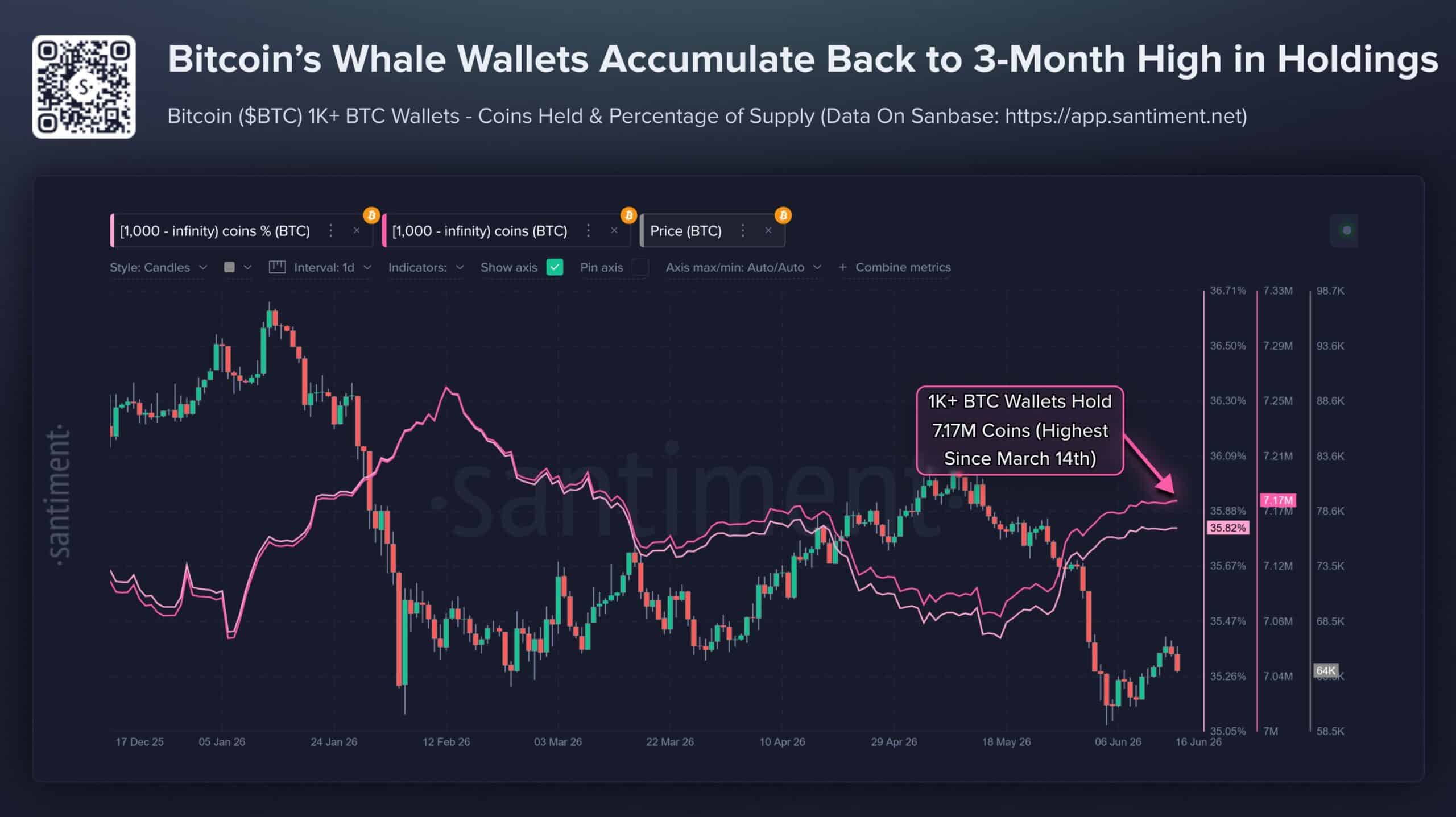 Bitcoin Whale Wallets