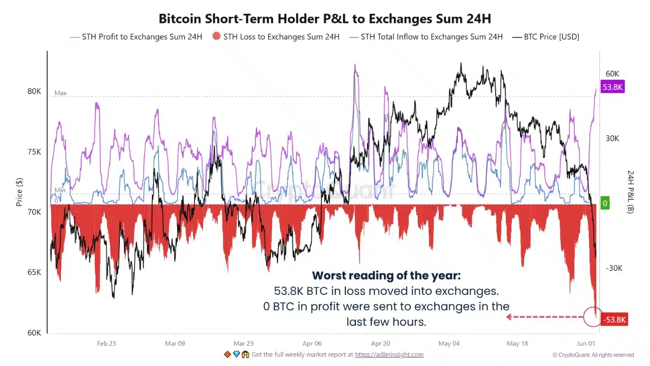 Bitcoin Short-term Holder P&L