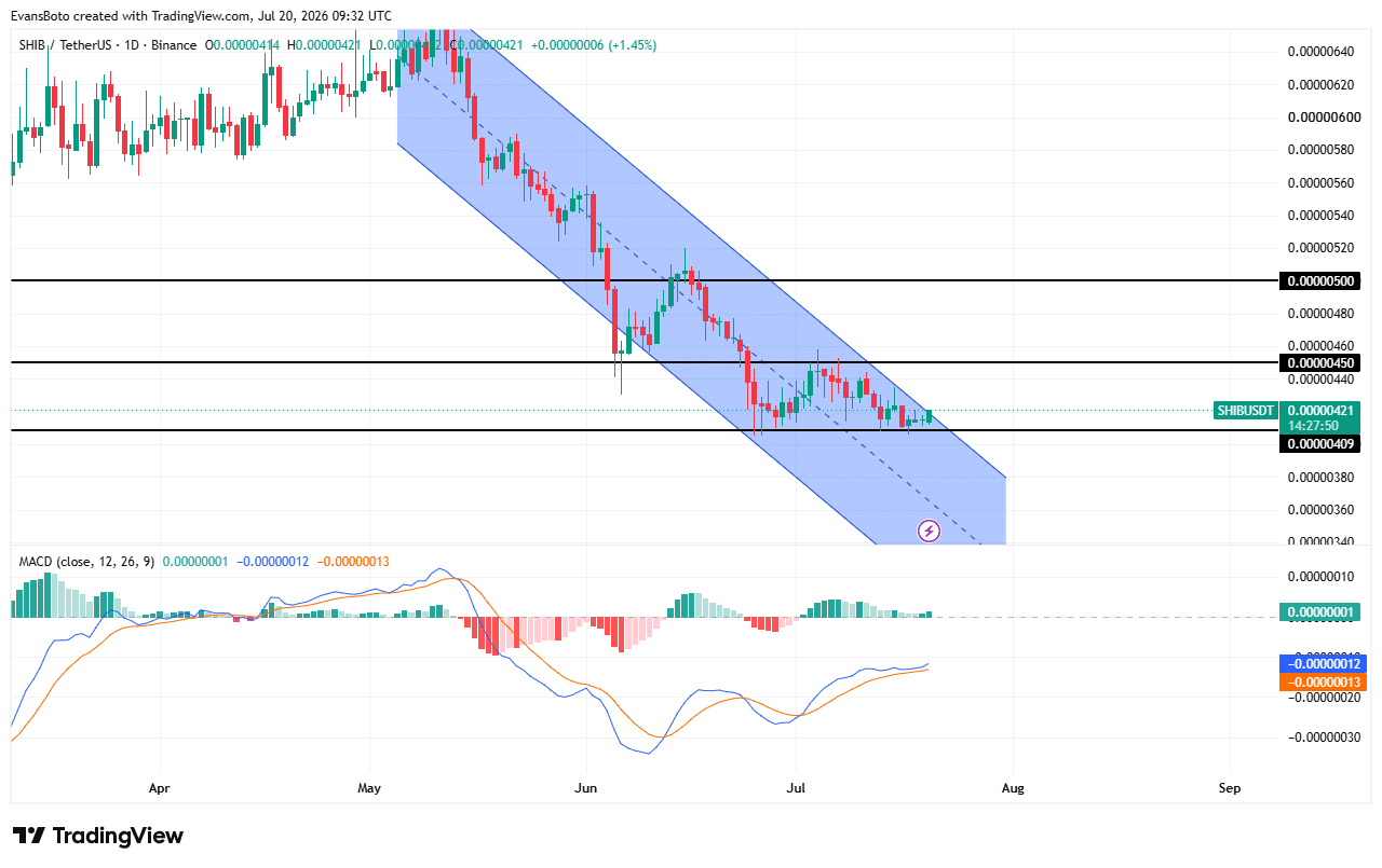Cá voi tích lũy, SHIB đốt tăng 350%: Sắp bứt phá? - Tin Tức Bitcoin - Cập Nhật Tin Tức Coin Mới Nhất 24/7 2026 SHIB price action