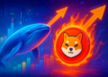 Cá voi tích lũy, SHIB đốt tăng 350%: Sắp bứt phá? - Tin Tức Bitcoin - Cập Nhật Tin Tức Coin Mới Nhất 24/7 2026 Cá voi tích lũy, SHIB đốt tăng 350%: Sắp bứt phá?