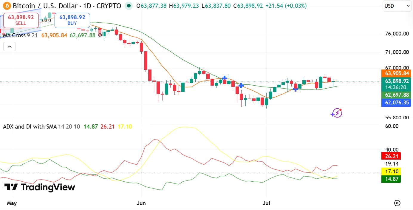 Cá voi Bitcoin ngủ yên 290 triệu USD tái tích lũy khi giá đi ngang - Tin Tức Bitcoin - Cập Nhật Tin Tức Coin Mới Nhất 24/7 2026 BTC ADX