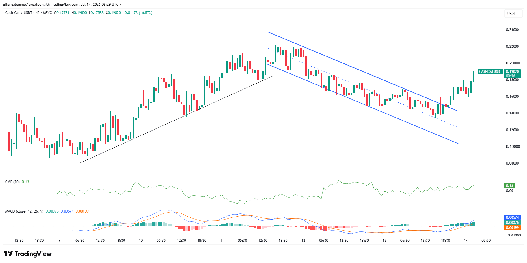 Memecoin CASHCAT trên Robinhood Chain tăng vọt lên 100 triệu USD trong vài giờ: Bull flag có giữ được? - Tin Tức Bitcoin - Cập Nhật Tin Tức Coin Mới Nhất 24/7 2026 CASHCAT
