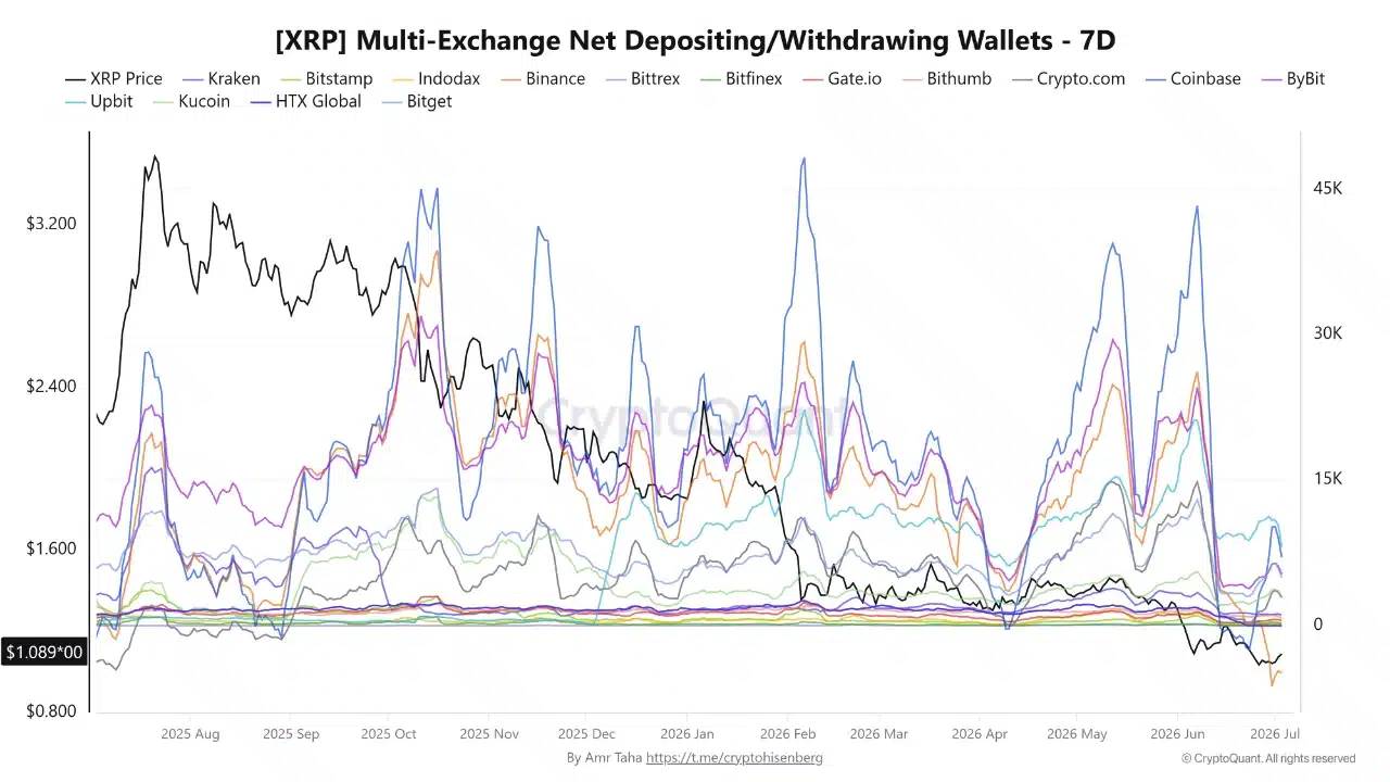 XRP Net Wallet Flows