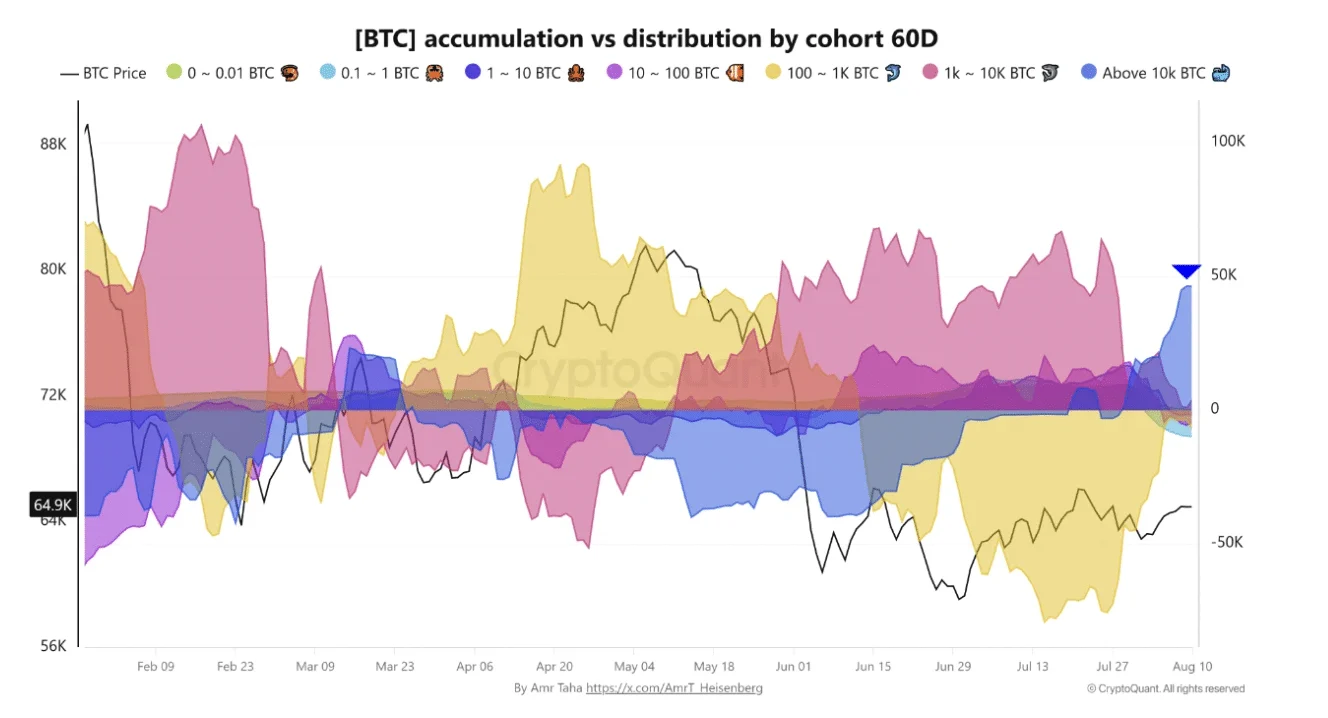 Cá voi Bitcoin mua thêm 46.420 BTC, liệu 65.000 USD trụ vững? - Tin Tức Bitcoin - Cập Nhật Tin Tức Coin Mới Nhất 24/7 2026 Accumulation vs. distribution