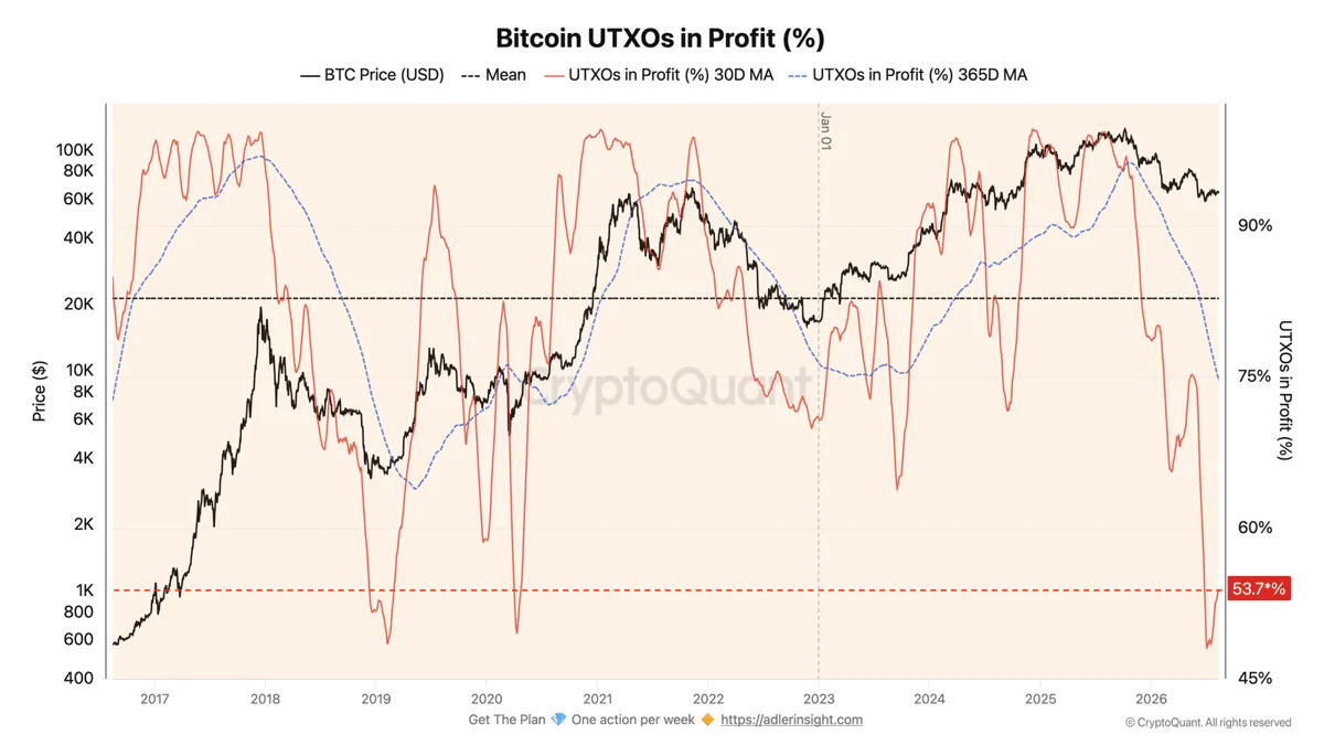 Cá voi Bitcoin thêm 54.000 BTC, giá vẫn dưới 65.000 USD - Tin Tức Bitcoin - Cập Nhật Tin Tức Coin Mới Nhất 24/7 2026 Bitcoin UTXOs in Profit
