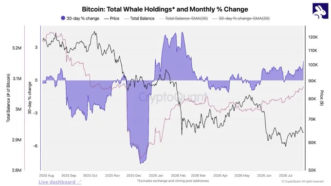 Crypto whales