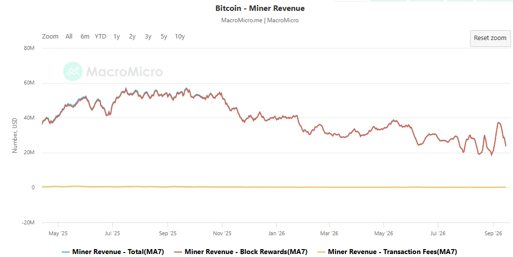 Các công ty khai thác Bitcoin