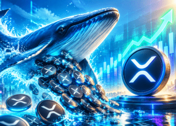 Cá voi rút 580 triệu token, XRP có thể vượt 1,57 USD?