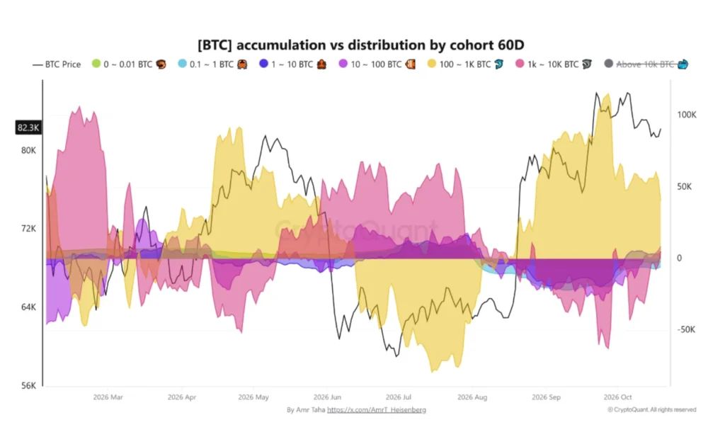 Bitcoin có nguy cơ lại giảm trong tháng 10: Điều gì tiếp theo? - Tin Tức Bitcoin - Cập Nhật Tin Tức Coin Mới Nhất 24/7 2026 Bitcoin có nguy cơ lại giảm trong tháng 10: Điều gì tiếp theo? - Tin Tức Bitcoin - Cập Nhật Tin Tức Coin Mới Nhất 24/7 2026