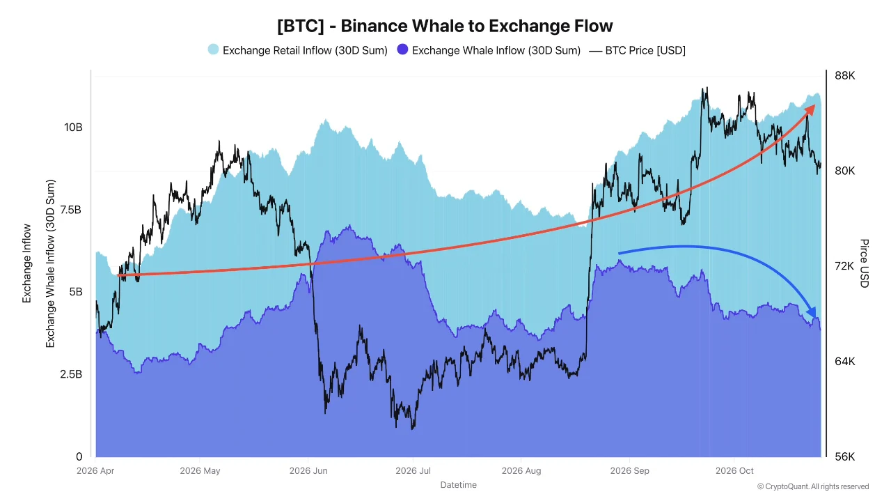 Dòng tiền của cá voi Bitcoin vào Binance