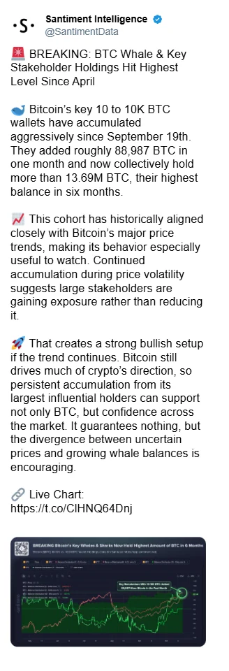 Cá voi gom 88.987 BTC, vì sao nhà giao dịch vẫn mua bảo hiểm? - Tin Tức Bitcoin - Cập Nhật Tin Tức Coin Mới Nhất 24/7 2026