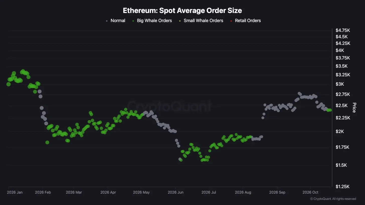 Các lệnh Ethereum lớn trở lại, có đáng chú ý? - Tin Tức Bitcoin - Cập Nhật Tin Tức Coin Mới Nhất 24/7 2026 Các lệnh Ethereum lớn trở lại, có đáng chú ý? - Tin Tức Bitcoin - Cập Nhật Tin Tức Coin Mới Nhất 24/7 2026